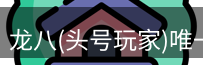 龙八头号玩家